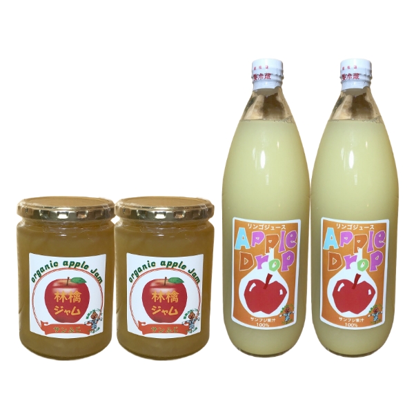SET-JCE-JAM