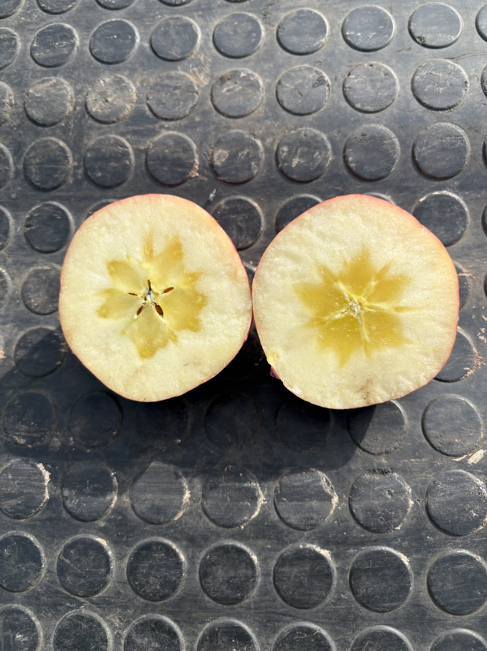 残りわずか(^_-)...